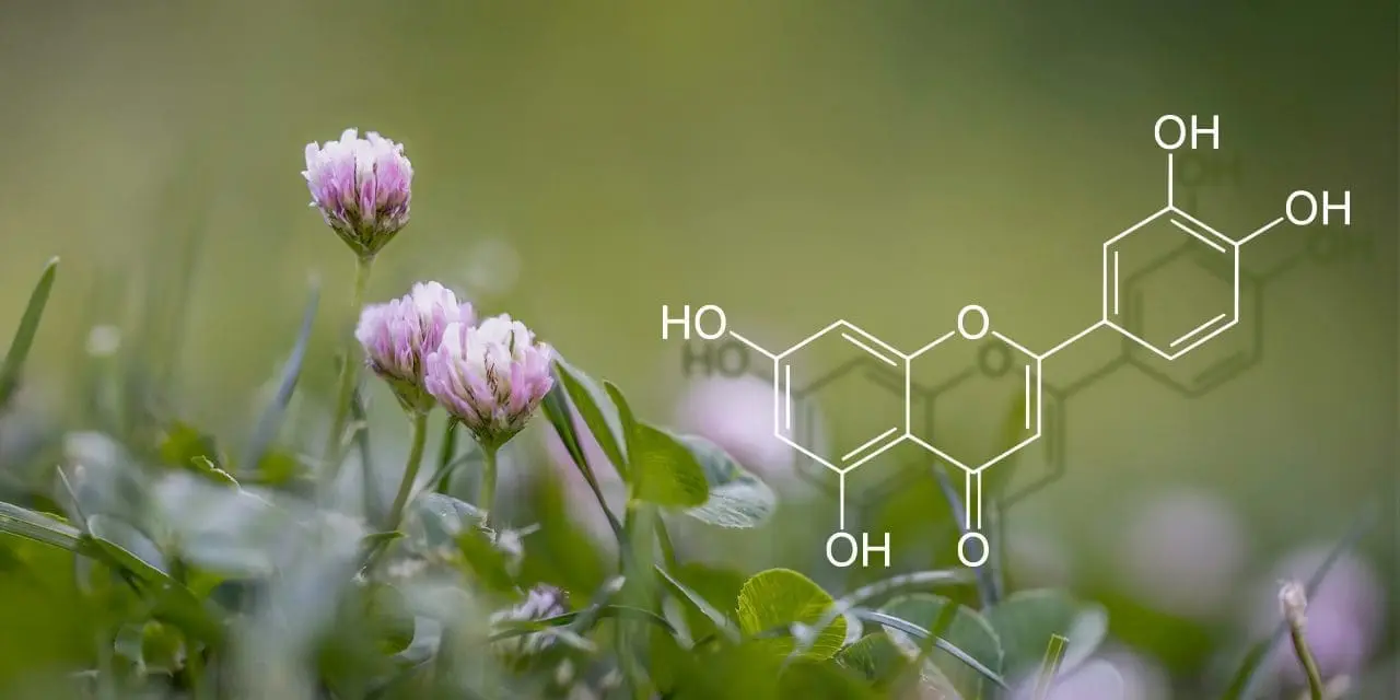  What is Luteolin