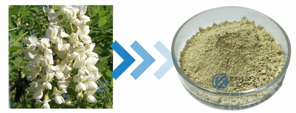 Pure Luteolin Manufacturer and Supplier