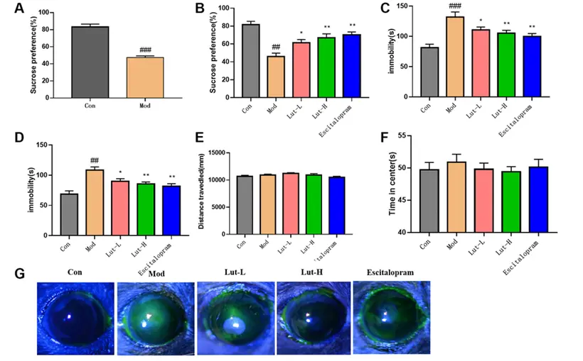 Efforts of Luteolin on eyes