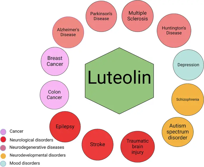 Luteolin Uses