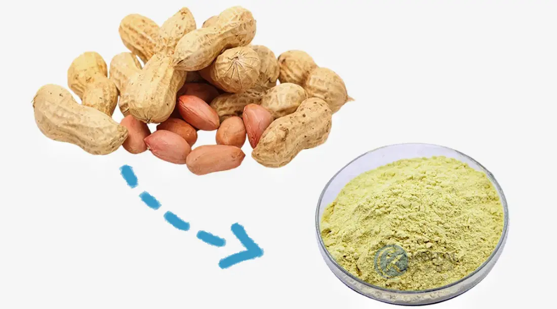 Peanut Shell Extract Luteolin Manufacturer and Supplier Peanut Shell Extract Luteolin Manufacturer and Supplier