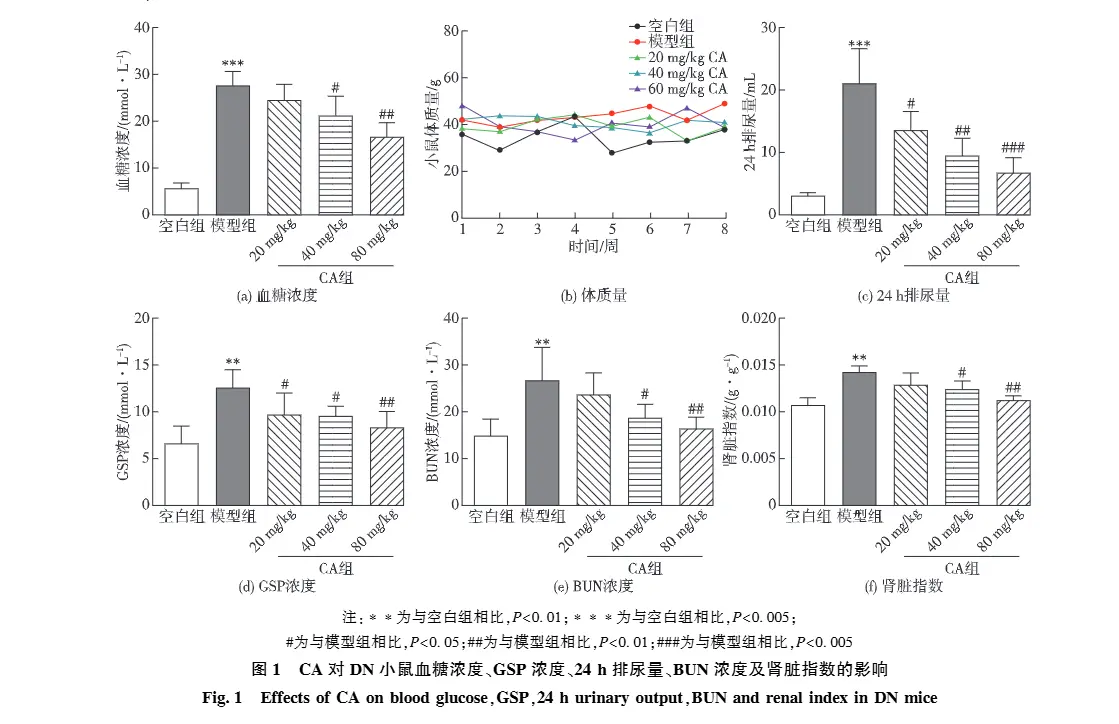 Protect Efforts of Corosolic Acid on Diabetic Nephropathy