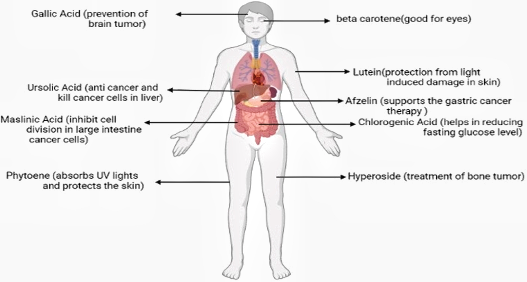 Loquat Leaf Extract Benefits Loquat Leaf Extract Benefits