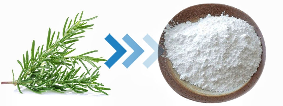 Ursolic acid powder
