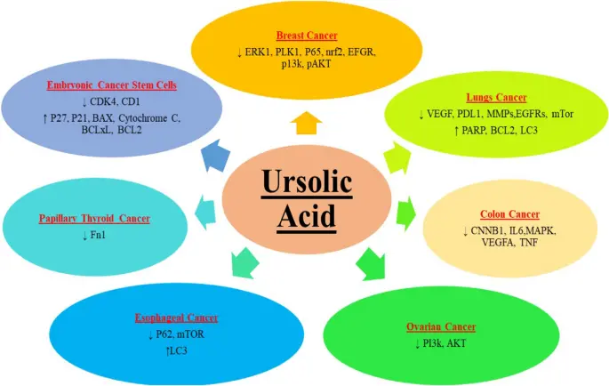  Anti-cancer and Tumor Inhibition