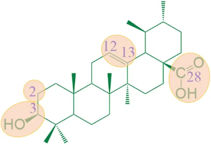 Ursolic Acid Application