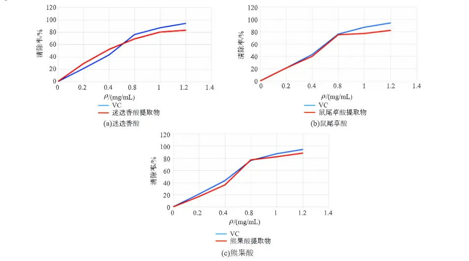 Detholiad Rhosmari mewn Gwrthlidiol Detholiad Rhosmari mewn Gwrthlidiol