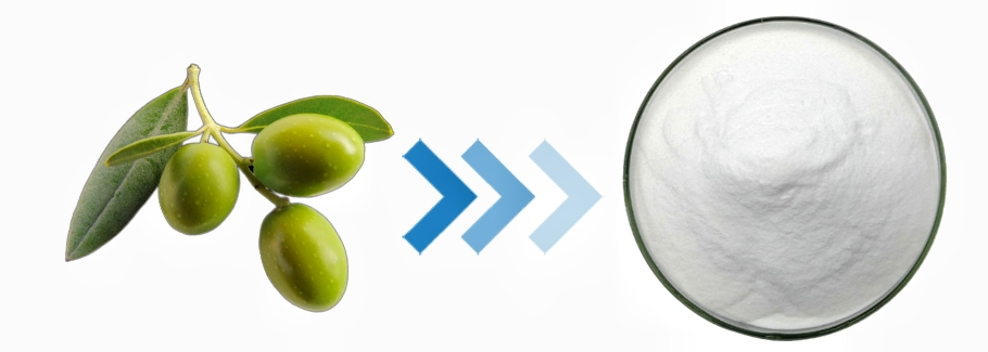 Oleanolic Acid powder
