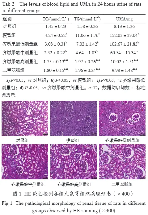 product-1-1 product-1-1