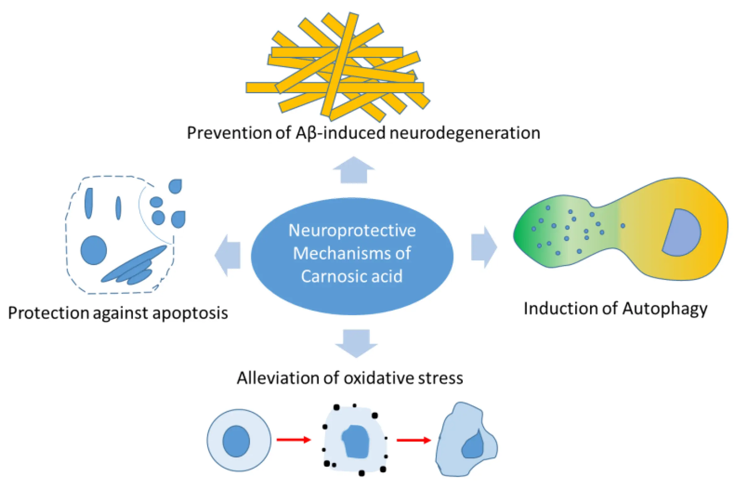 Functional Health Ingredient