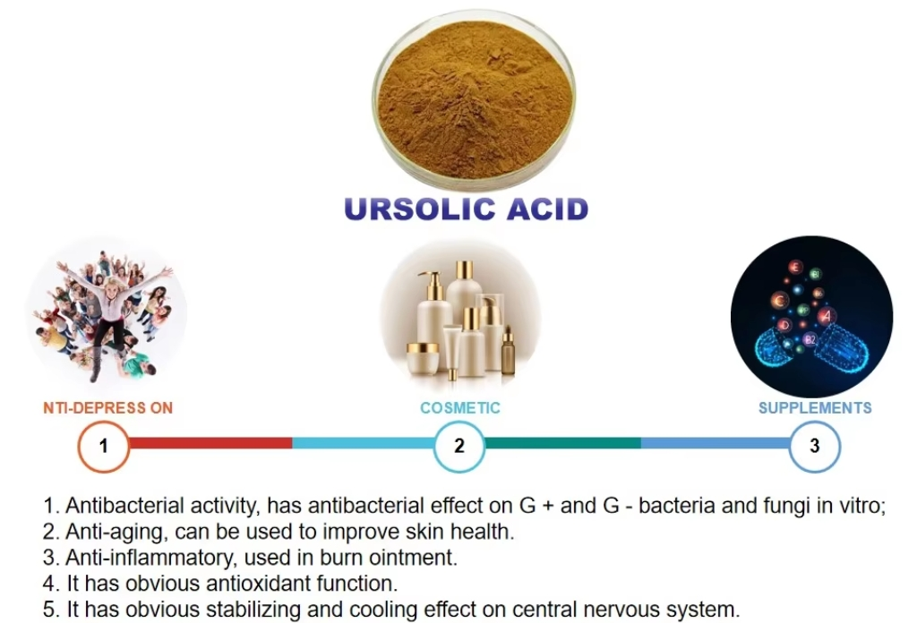 Ursolic Acid Ursolic Acid