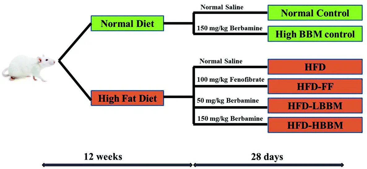 product-1-1 product-1-1