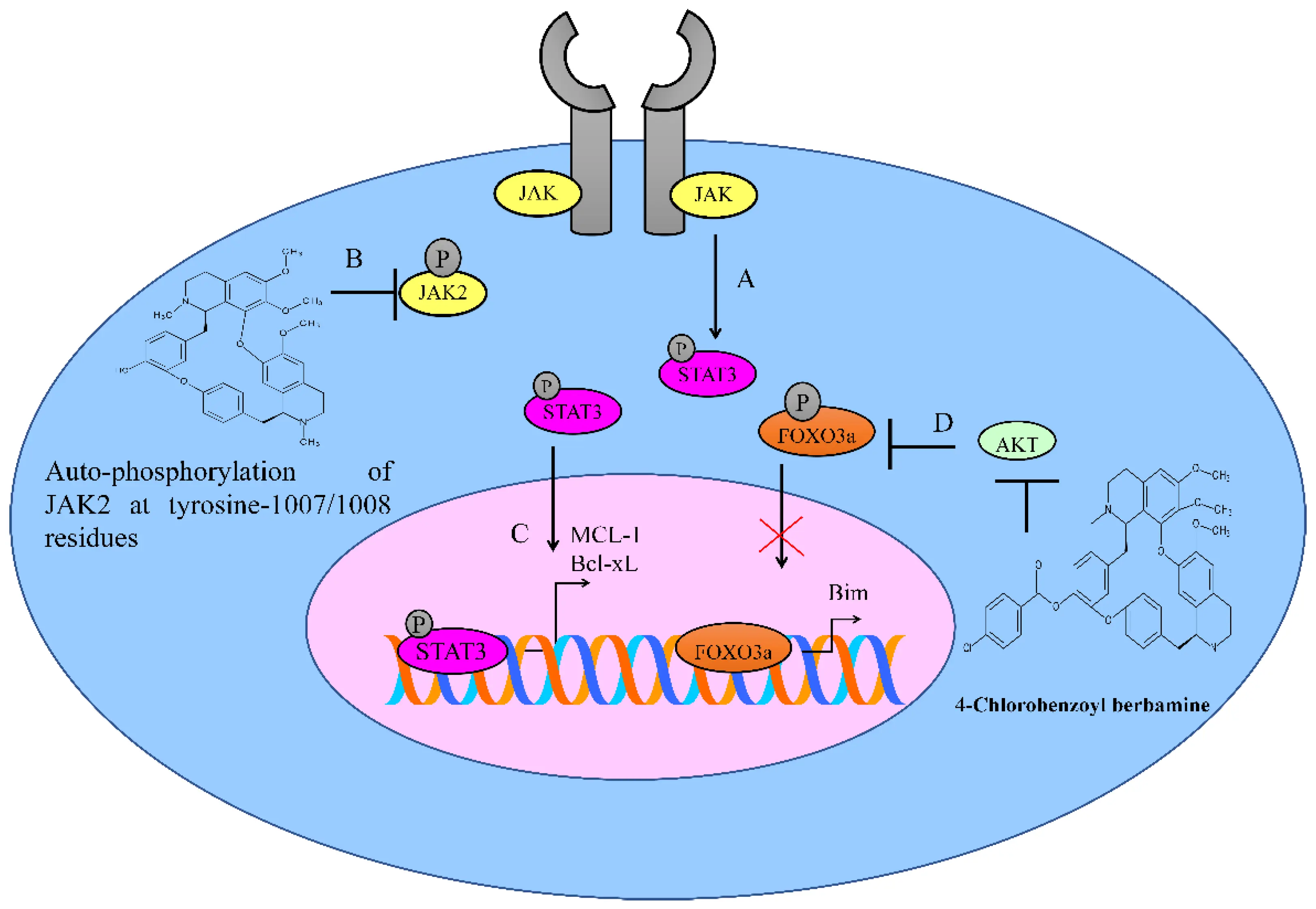 product-1-1 product-1-1
