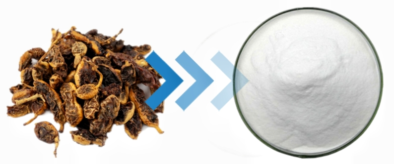 kintai genistein kintai genistein