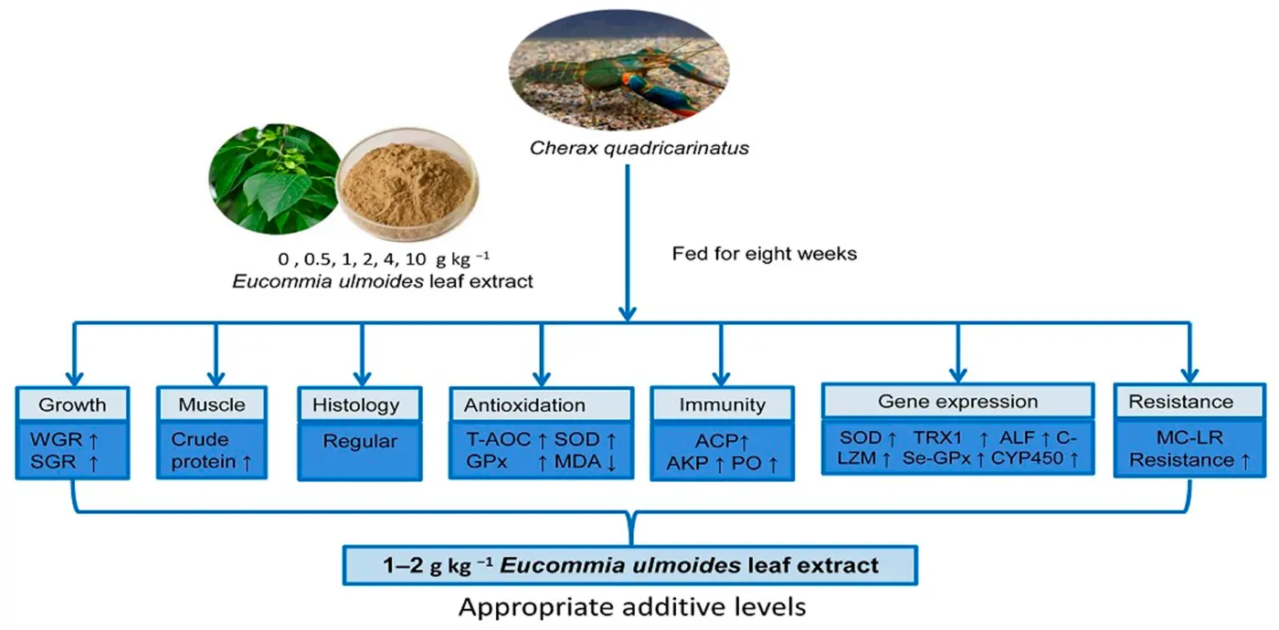product-1-1 product-1-1