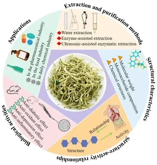 Lonicera Japonica in Skincare Lonicera Japonica in Skincare