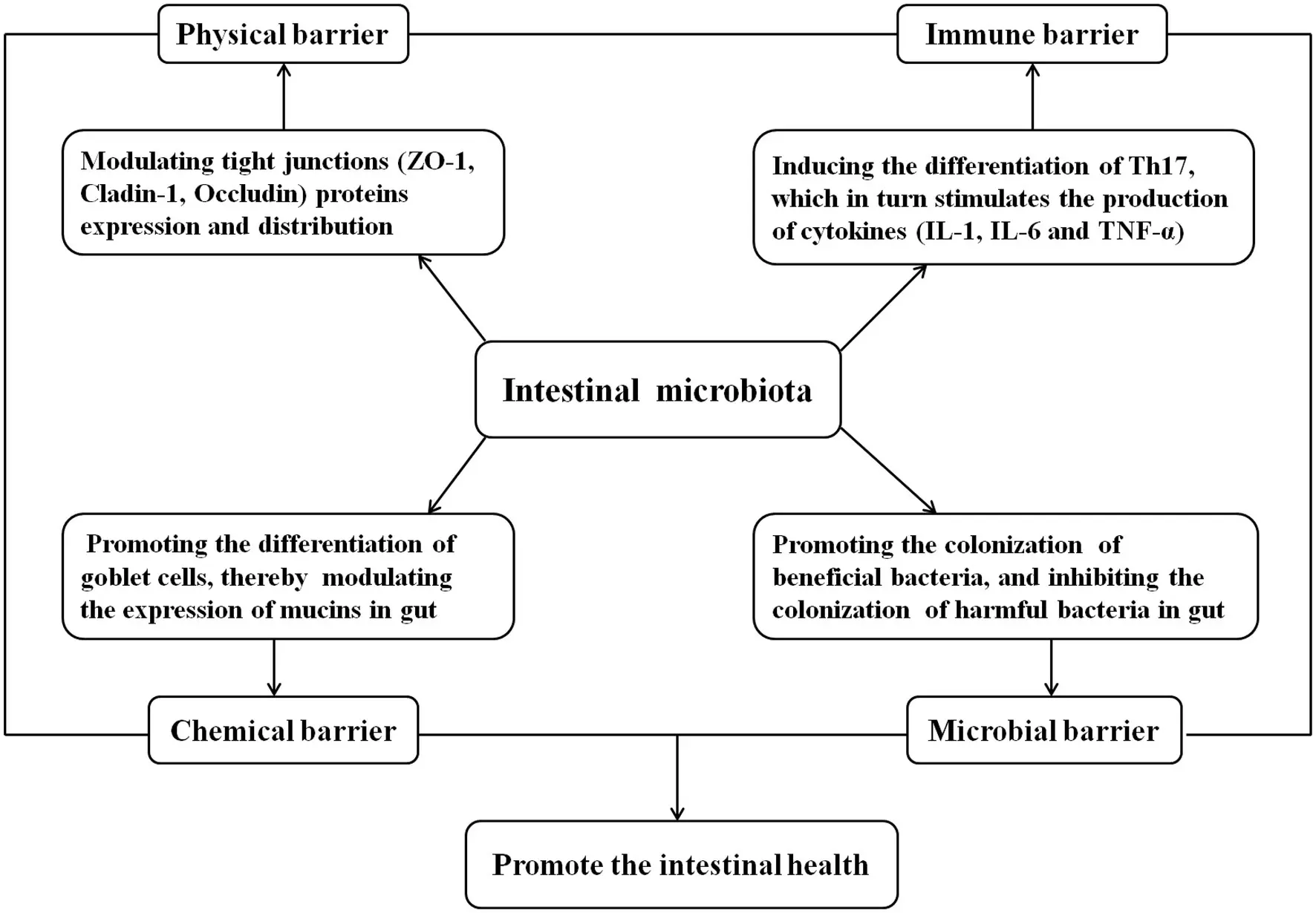 Lonicera Japonica Extract Powder in animal health Lonicera Japonica Extract Powder in animal health