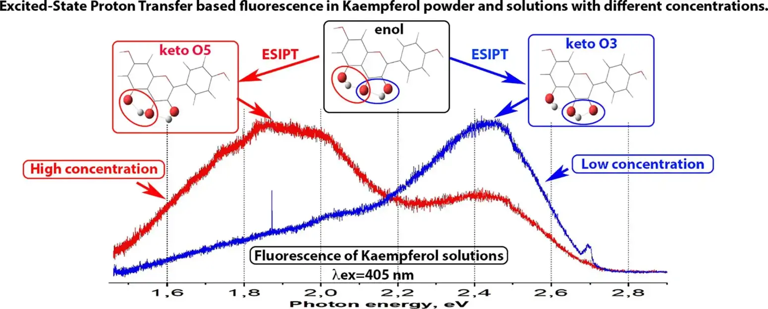 product-1-1 product-1-1