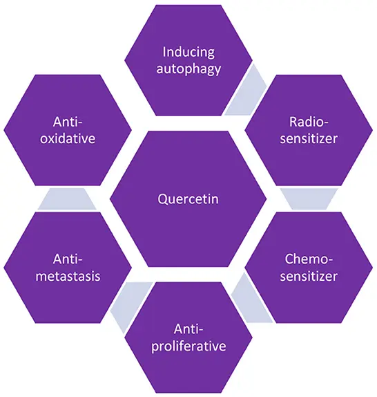 Quercetin Powder benefits Quercetin Powder benefits