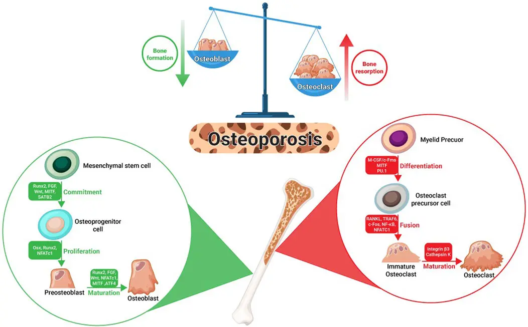 Pharmaceuticals and Healthcare Products