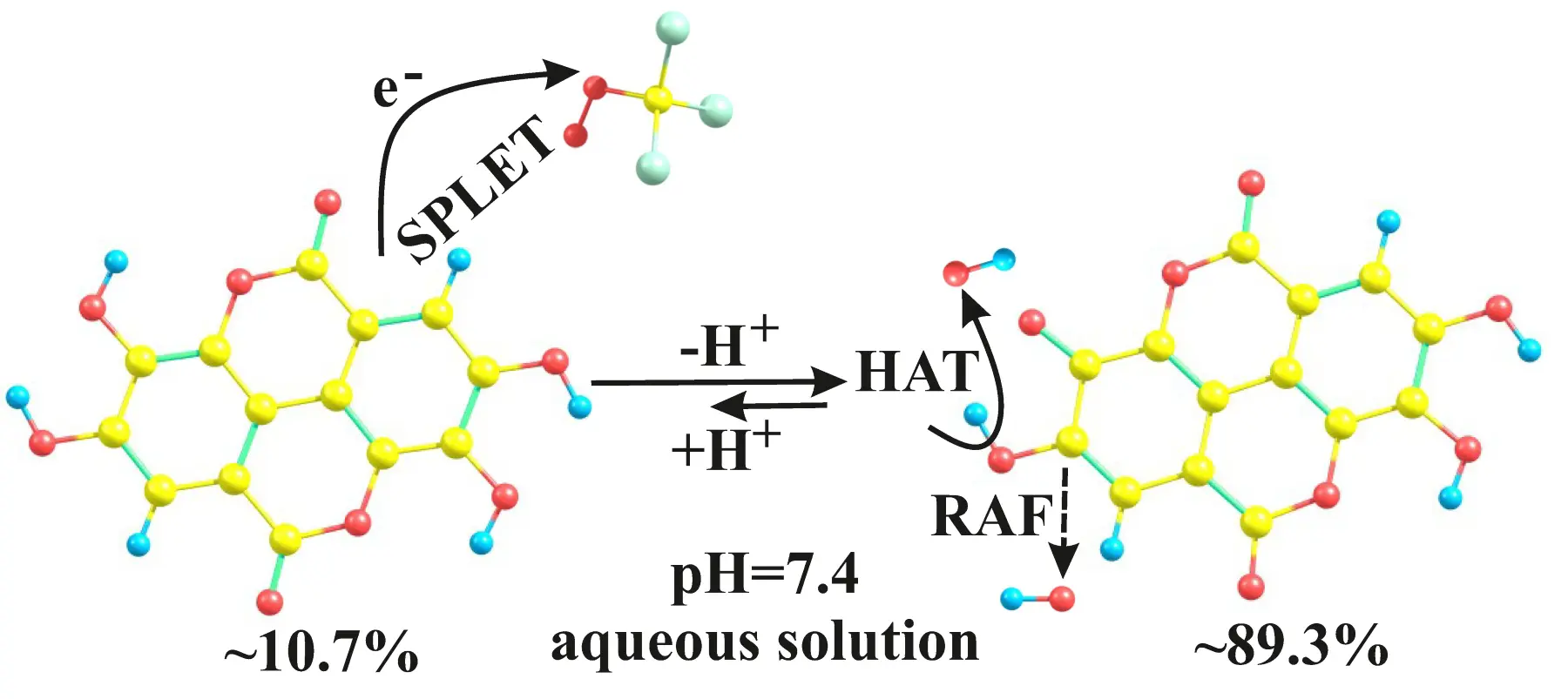 इलाजिक एसिडका फाइदाहरू इलाजिक एसिडका फाइदाहरू