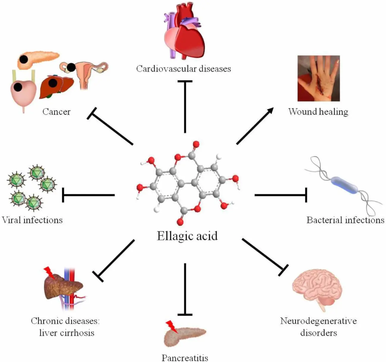 उत्पादन-1-1 उत्पादन-1-1