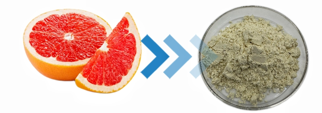 Naringin Extract Powder Naringin Extract Powder