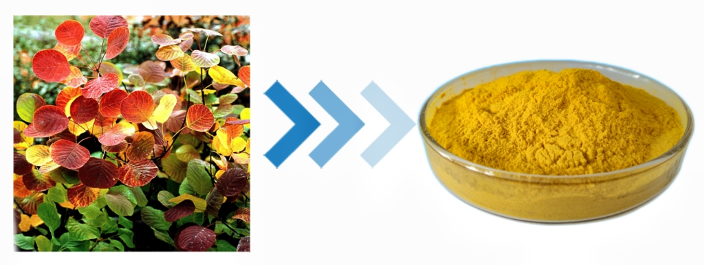 product-1-1 product-1-1