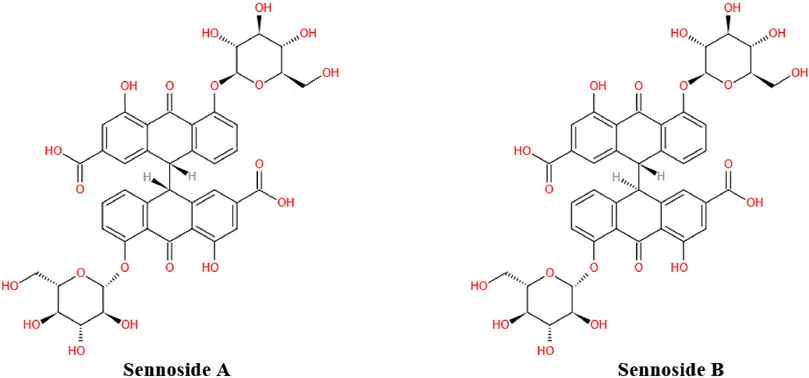 Senna Leaf Extract Powder Manufacturer/Supplier