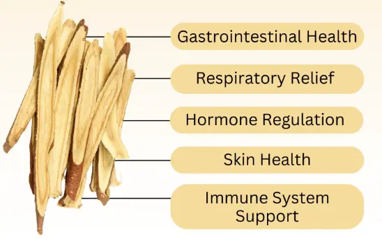 Licorice Powder vs Licorice Extract Licorice Powder vs Licorice Extract