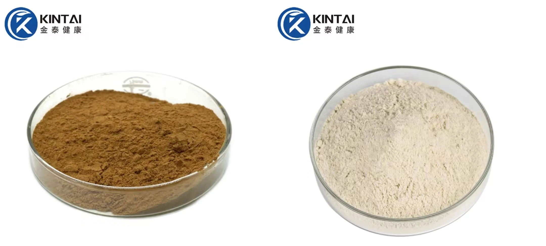 Horse chestnut extract aescin(escin) powder Horse chestnut extract aescin(escin) powder