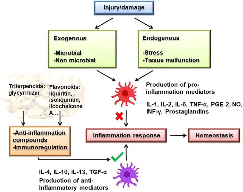What does licorice extract do for skin? What does licorice extract do for skin?