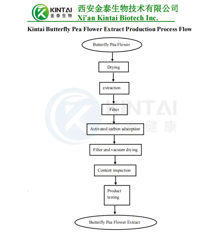 Butterfly Pea Flower Extraction Process Butterfly Pea Flower Extraction Process