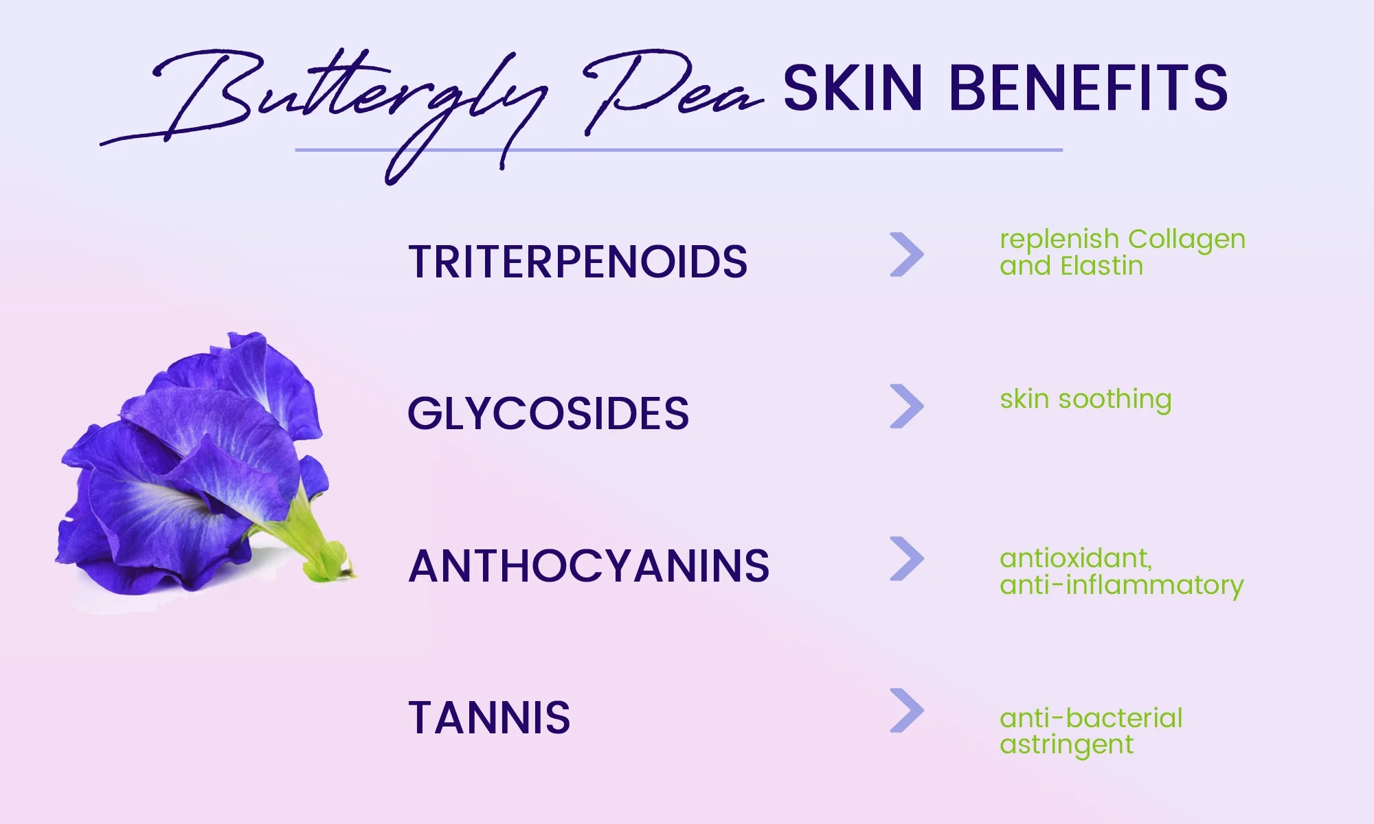 Butterfly pea flower extract for skin Butterfly pea flower extract for skin