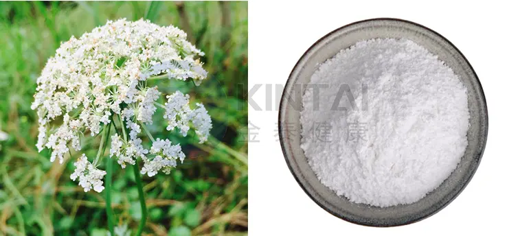 Cnidium monnieri extract