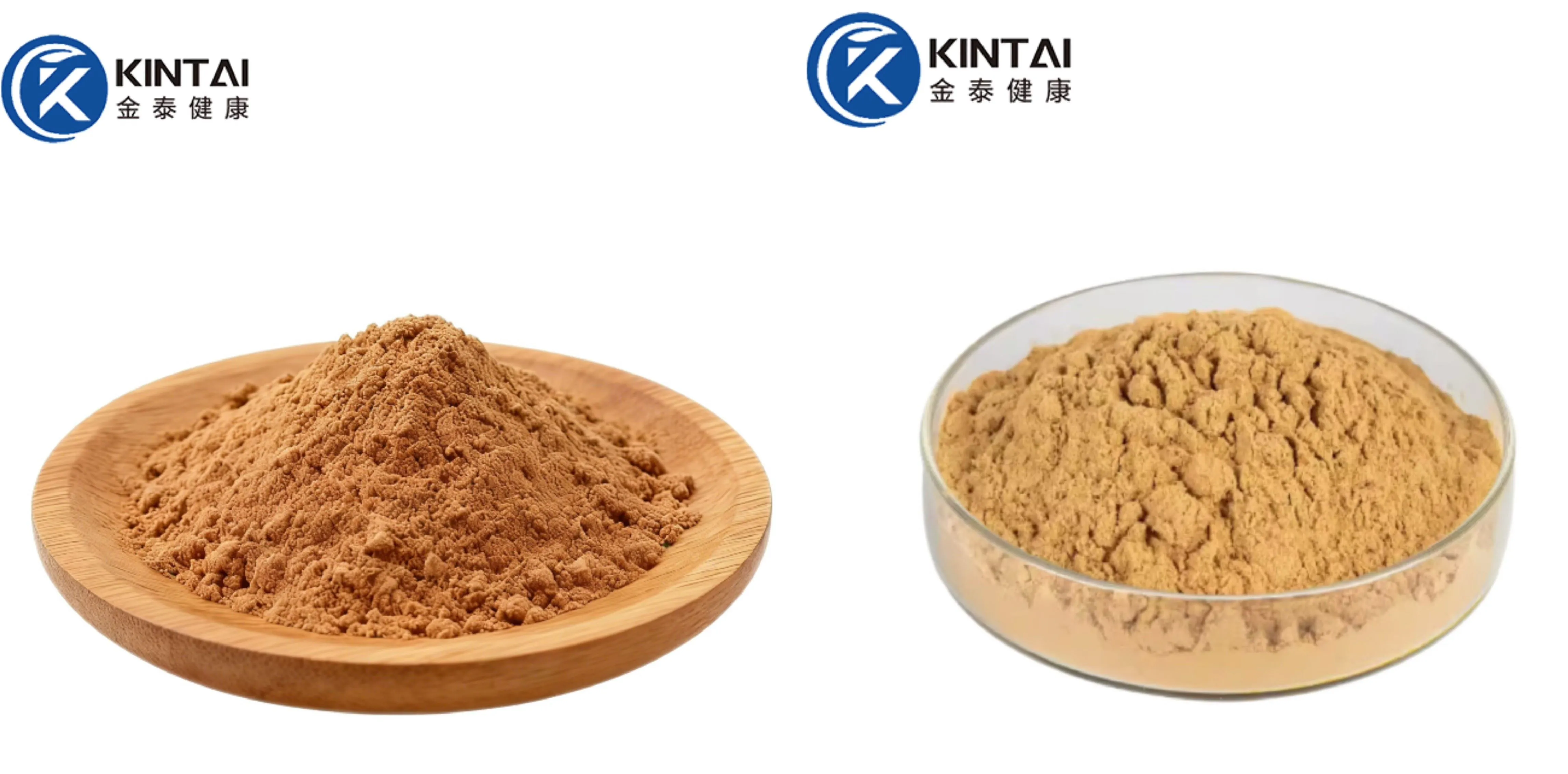Yucca Extract Powder Factory/Manufacturer