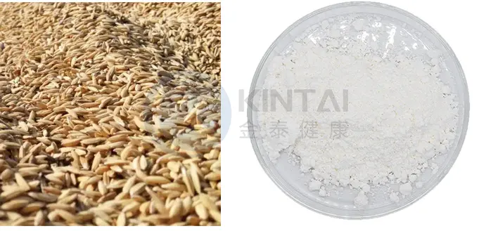 Gamma Oryzanol Gamma Oryzanol