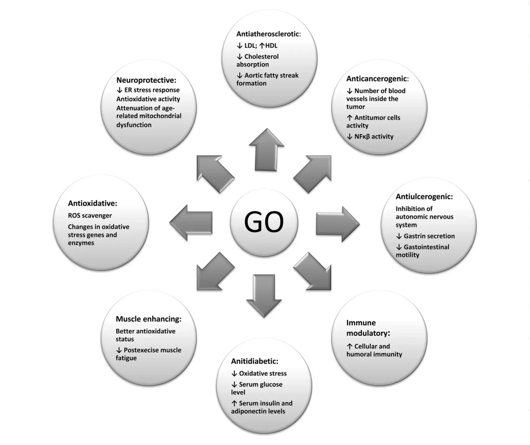 Why should Gamma oryzanol be your choice for horse health management? Why should Gamma oryzanol be your choice for horse health management?