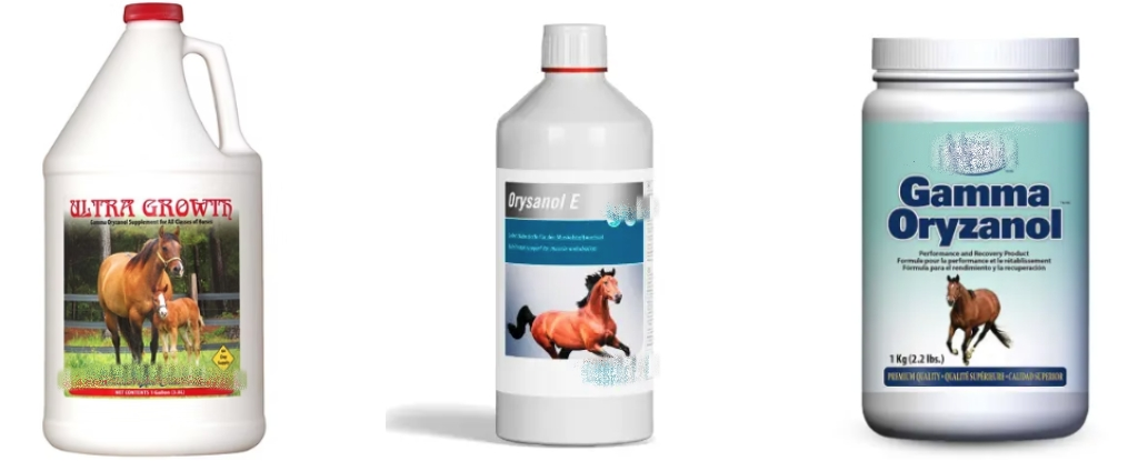 The Current Market Status of Oryzanol in Equestrian Products
