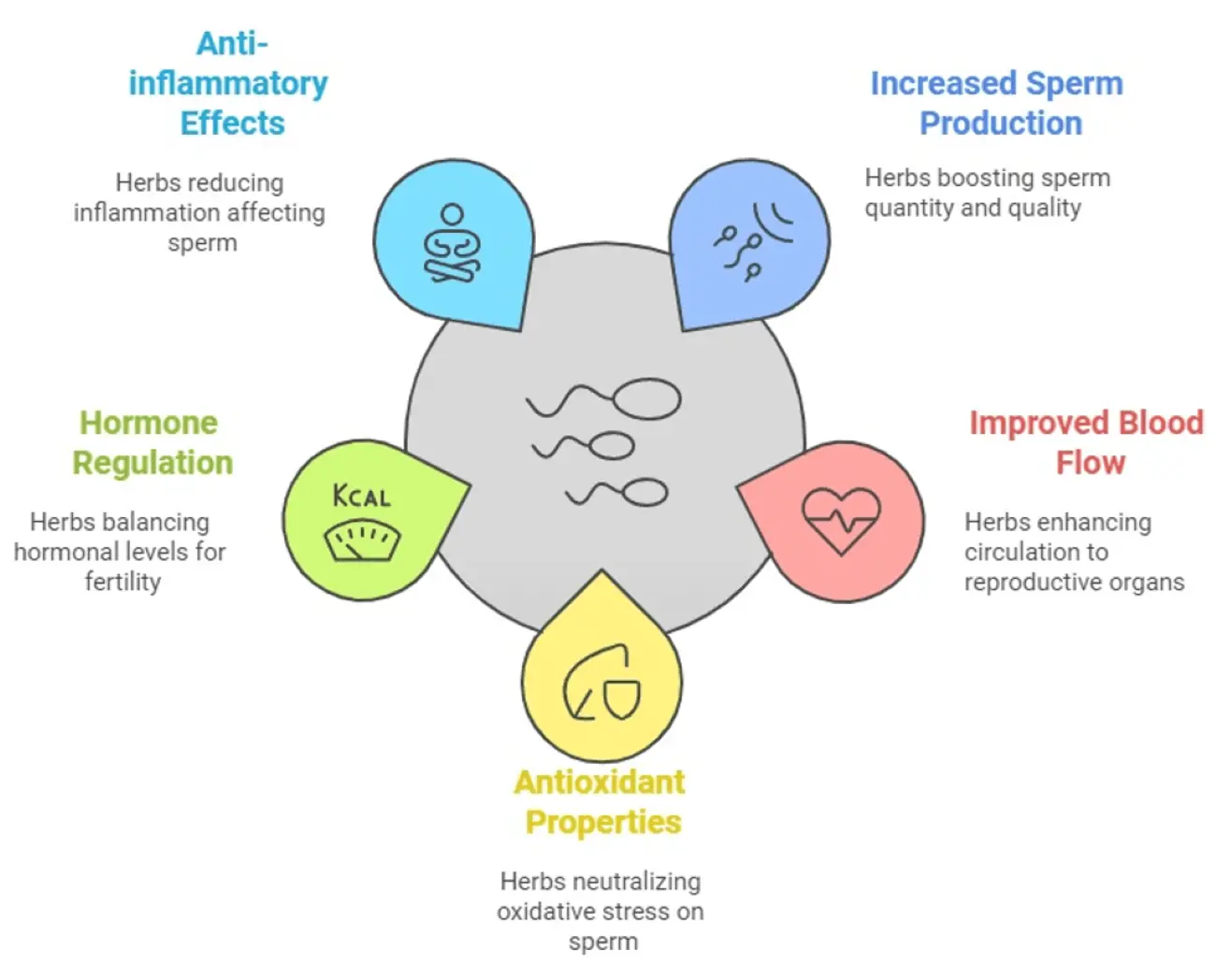 What Are the Benefits of Tongkat Ali Extract for Men?