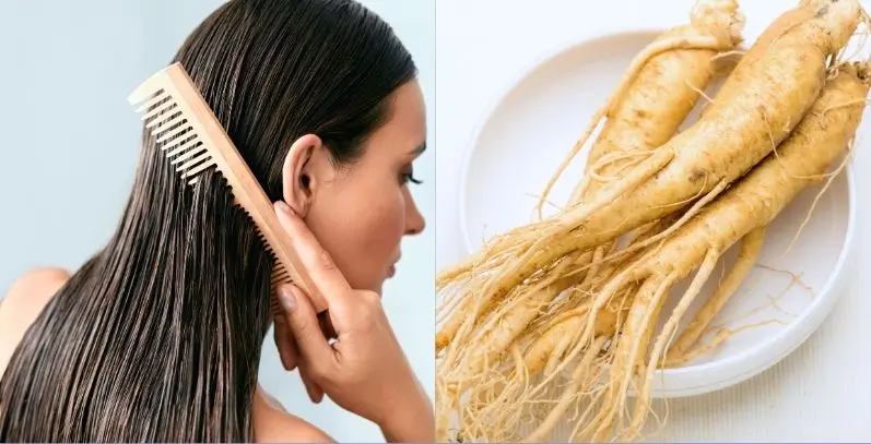 Ginseng Extract for Hair