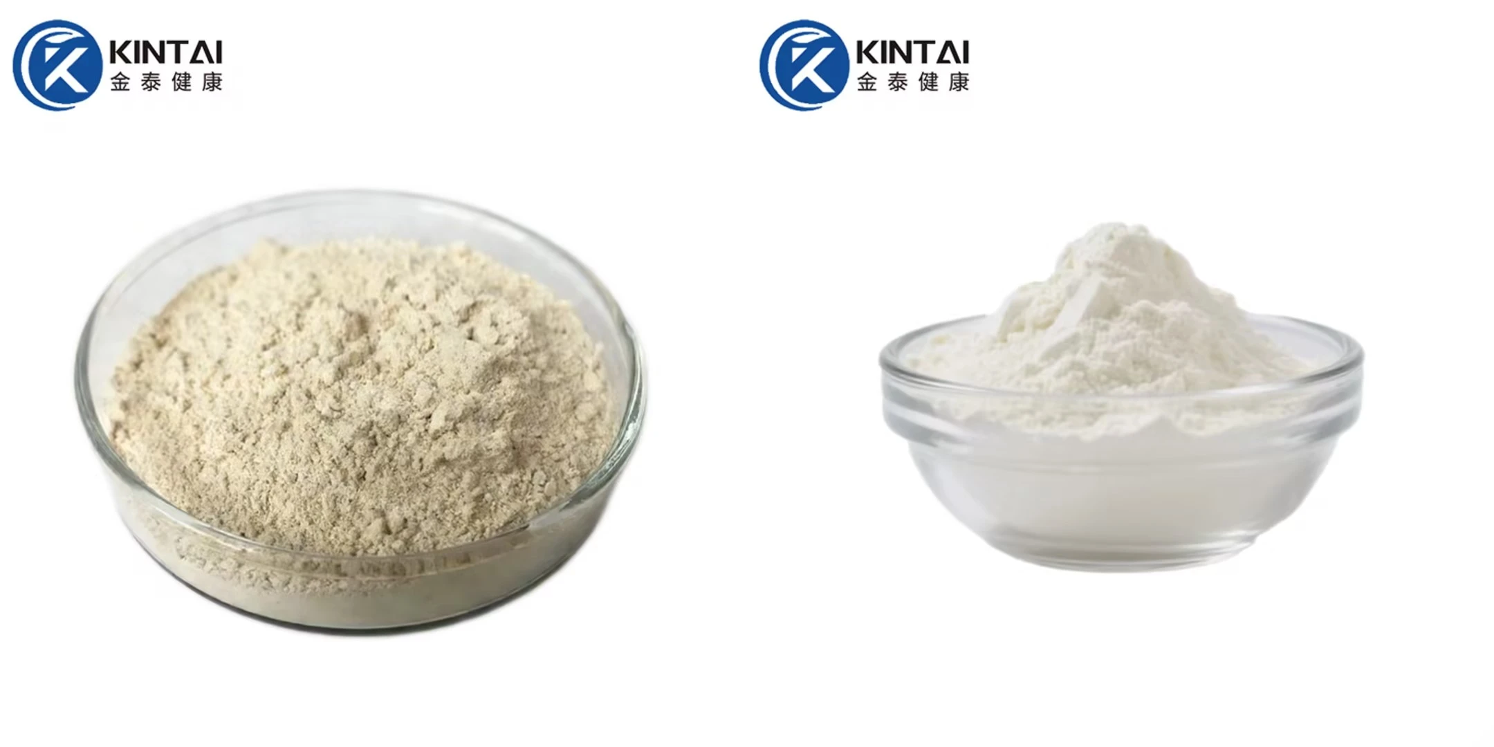 Garcinia Cambogia Extract Powder Supplier/Manufacturer