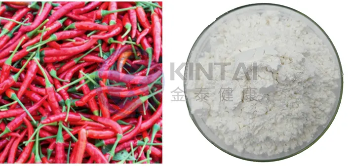 Healthkintai® Capsicum Extract Plant Source Healthkintai® Capsicum Extract Plant Source