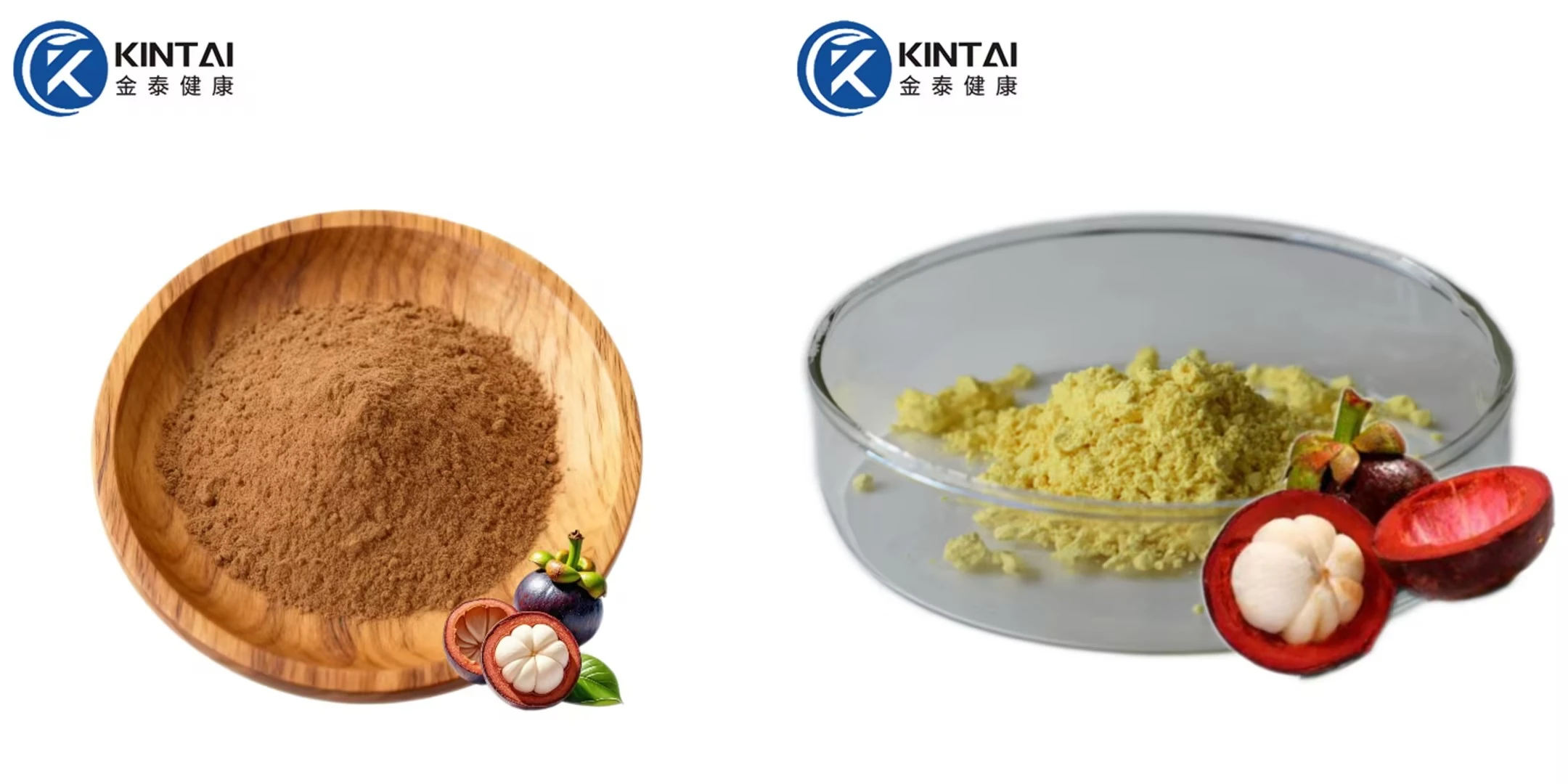 Mangosteen Peel Extract Powder Supplier/Manufacturer Mangosteen Peel Extract Powder Supplier/Manufacturer