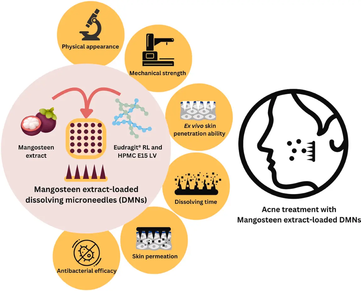 Mangosteen Peel Extract Benefits for Skinc