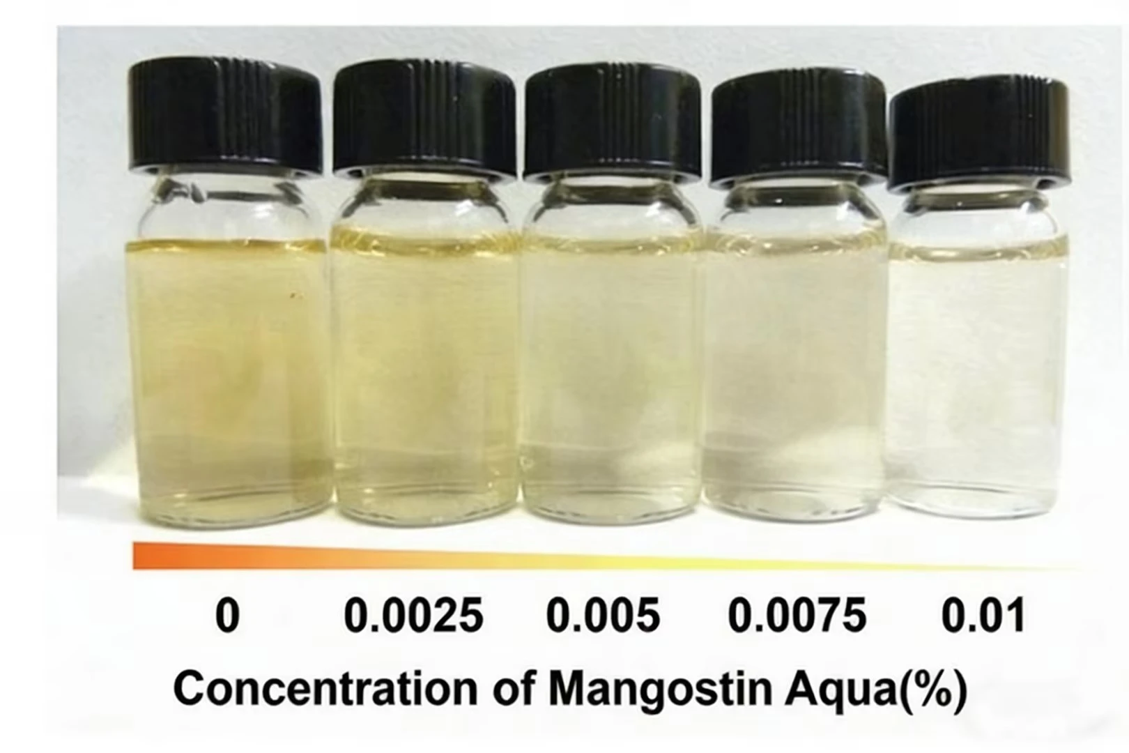 Water-soluable aplha mangostin Water-soluable aplha mangostin