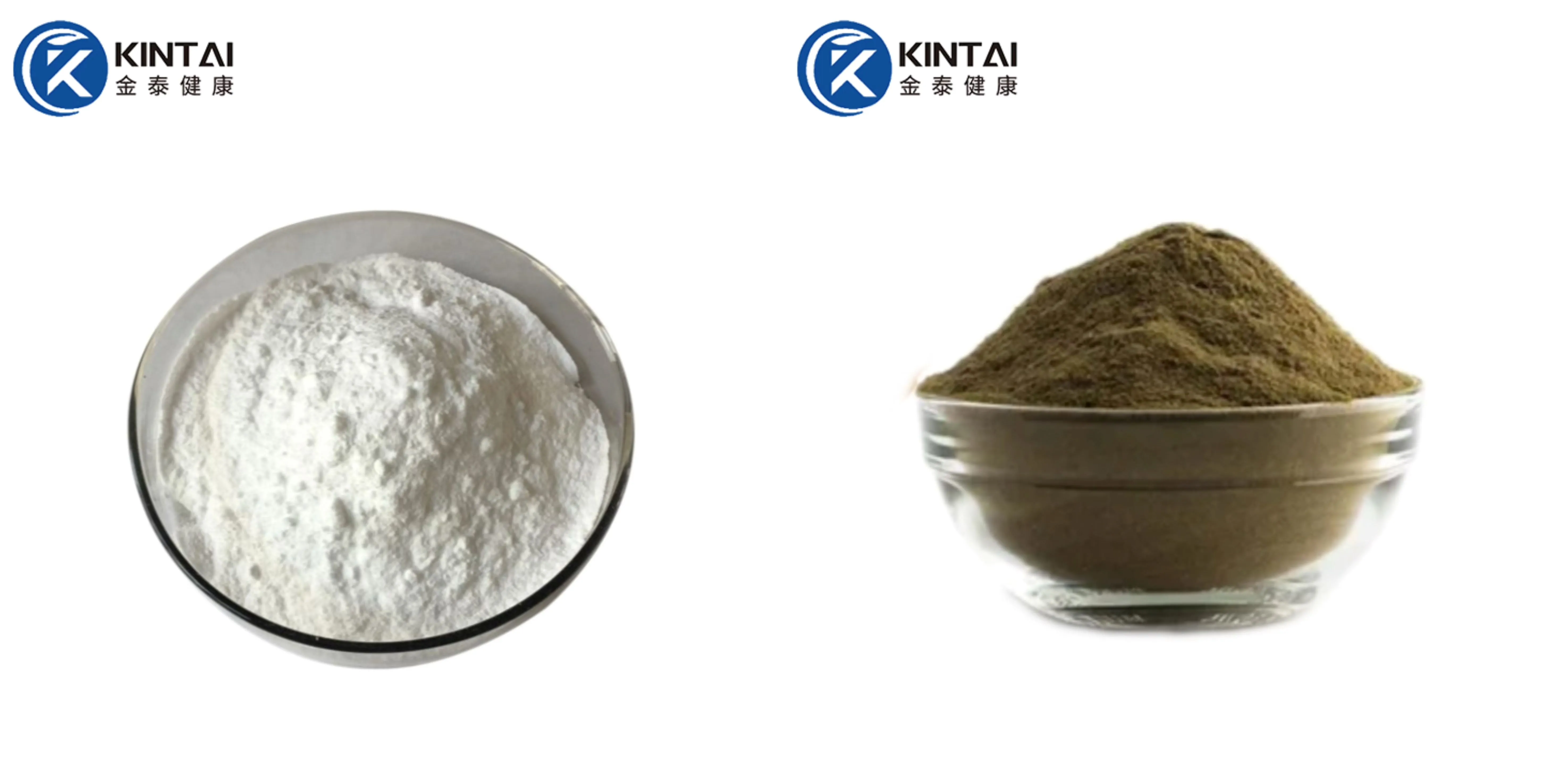 Black Sesame Extract Powder Supplier/Manufacturer