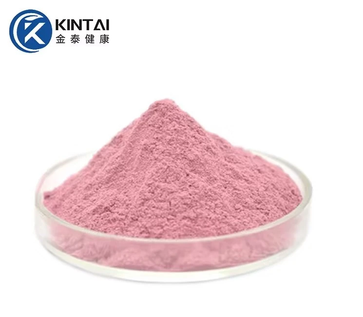 Acerola Cherry Extract Powder Supplier/Manufacturer/Factory