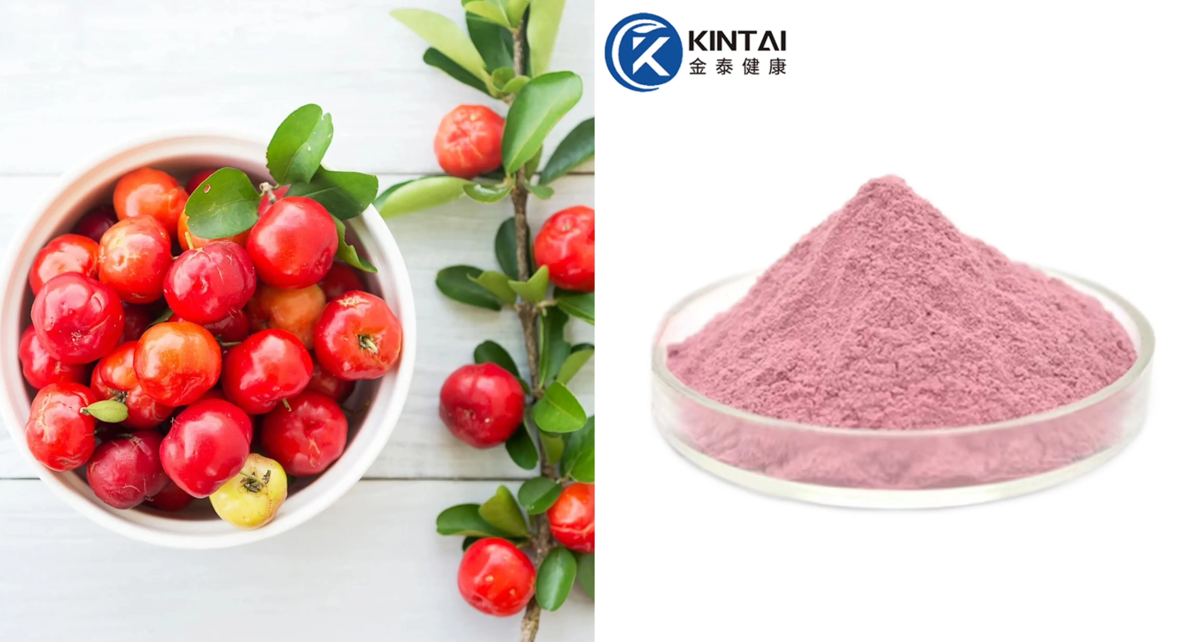 Acerola cherry extract powder 