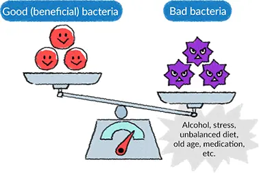 Total Anthraquinones —The “Natural Core Power” for Purgation Total Anthraquinones —The “Natural Core Power” for Purgation